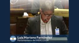 declaracion-regional-sobre-alzheimer-y-demencia-en-el-mercosur