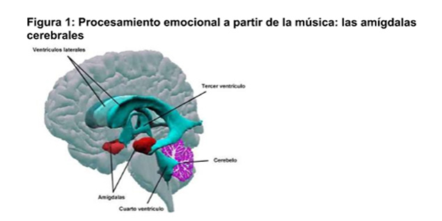 senales a partir de la musica